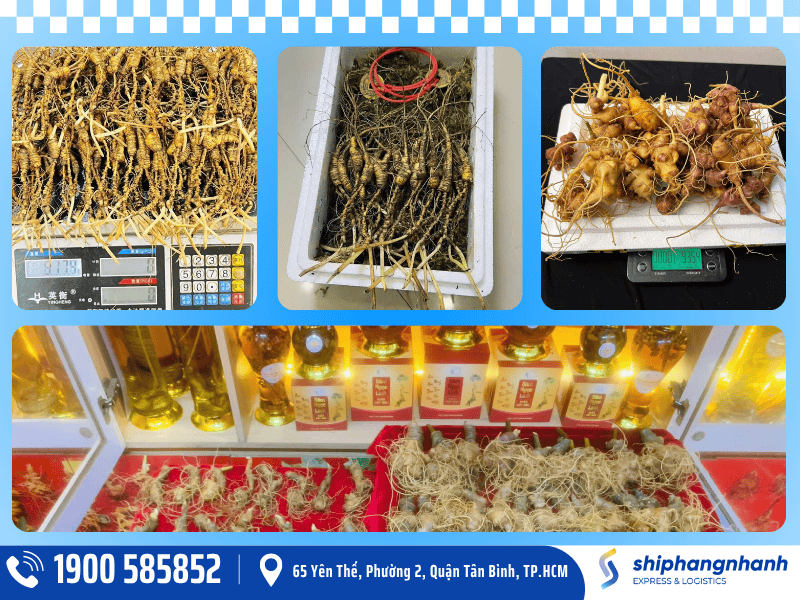 dich vu gui cac loai nhan sam dji uc cua ship hang nhanh - Kubet 1