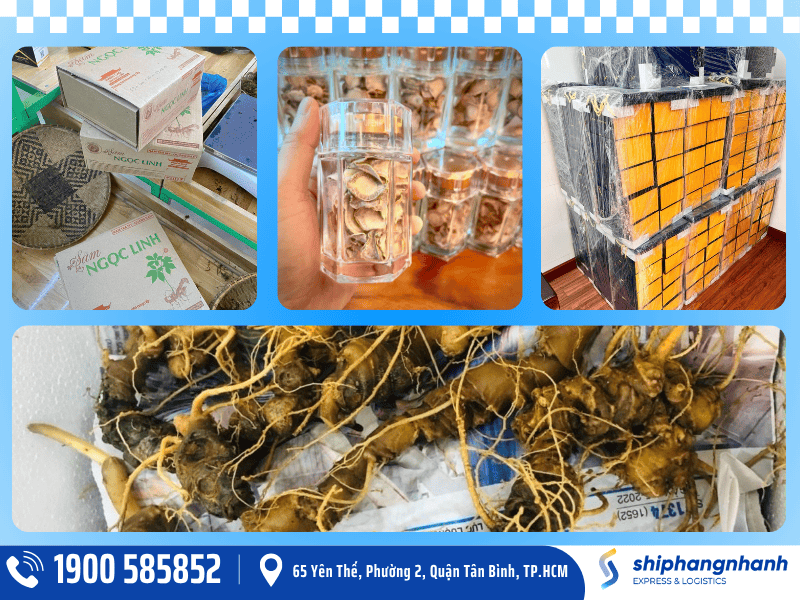 dich vu gui cac loai nhan sam dji uc cua ship hang nhanh - Kubet 2